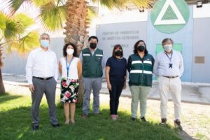 Centro de Insectos Estériles del SAG produce 24 millones de larvas semanales para controlar plagas en Chile